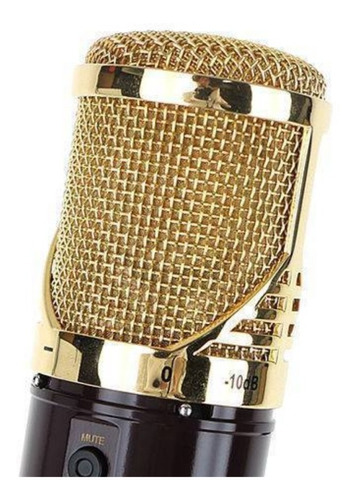 Microfono Usb Condenser Kurzweil Km1u Cardioide Voz Estudio Color Dorado