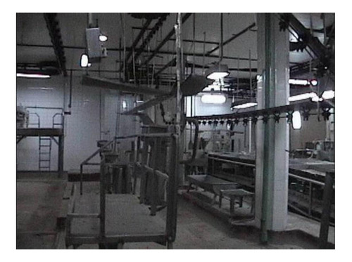 Imagen 8 de 20 de Solida Planta Frigorifica De 55000 M2 Cubiertos Sobre 2220 H