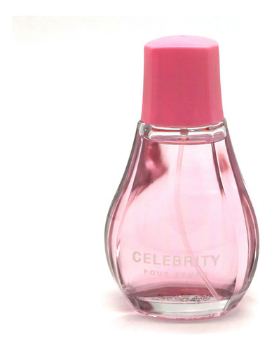 Perfume 100ml In Style Celebrity