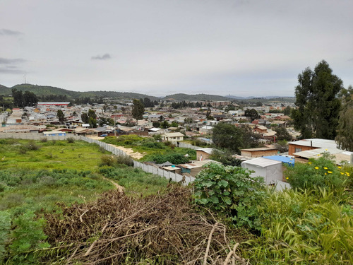 Terreno Con 11 Lotes Con Roles Propios (100748)