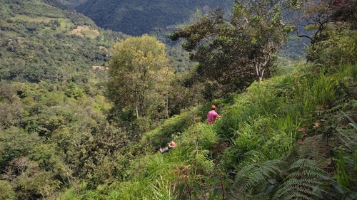 Imagen 9 de 9 de Venta Finca 2 Horas De Bogota