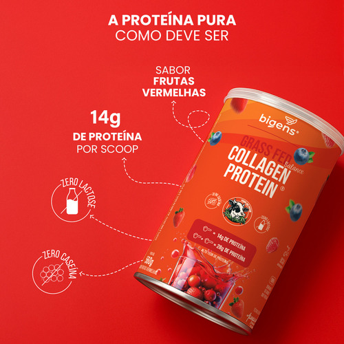 Grass Fed Balance Collagen Protein® 28g Proteína, Colágeno Premium, Pepcol®, 560g, Frutas Vermelhas, Bigens