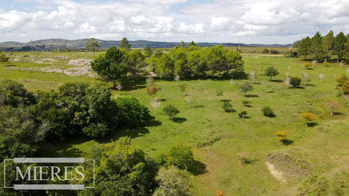 Venta De Chacra Con Casa 8ha En Pueblo Edén Ref 7454 (ref: Atm-7454)