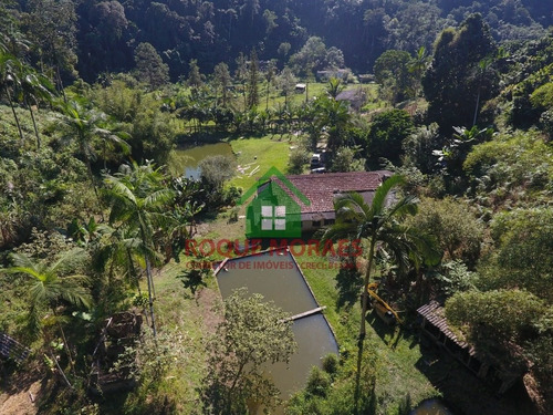 Imagem 11 de 25 de Sítio Com 38.000 M² No Vale Do Ribeira Sp Ref.: 0869