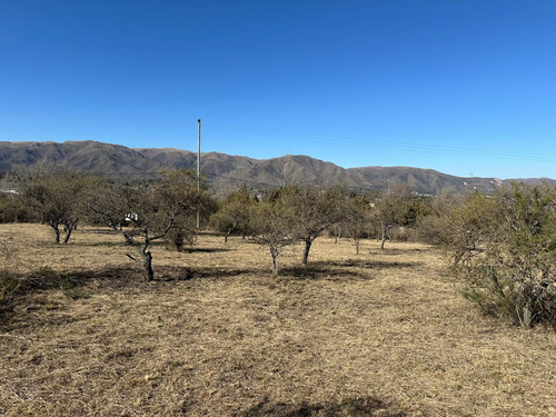 Terrenos Huerta Grande