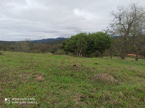 Imagem 9 de 14 de 16- Terrenos De 800m Na Cidade De Arujá