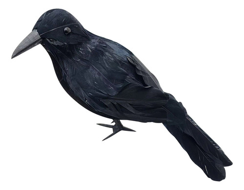 Es Un Cuervo Realista Con Plumas Negras Para Decoración De H