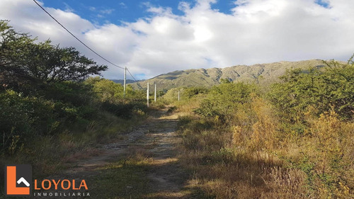 Imagen 29 de 30 de Carpintería, Lotes De 5000 M2