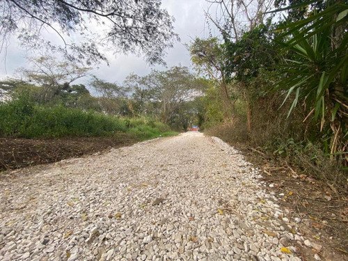 Venta Terreno La Estanzuela