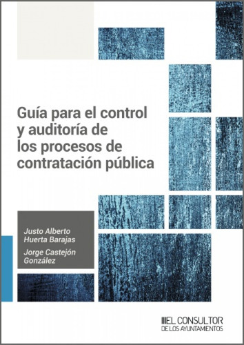 Guia Para El Control Y Auditoria De Los Procesos De Contrata