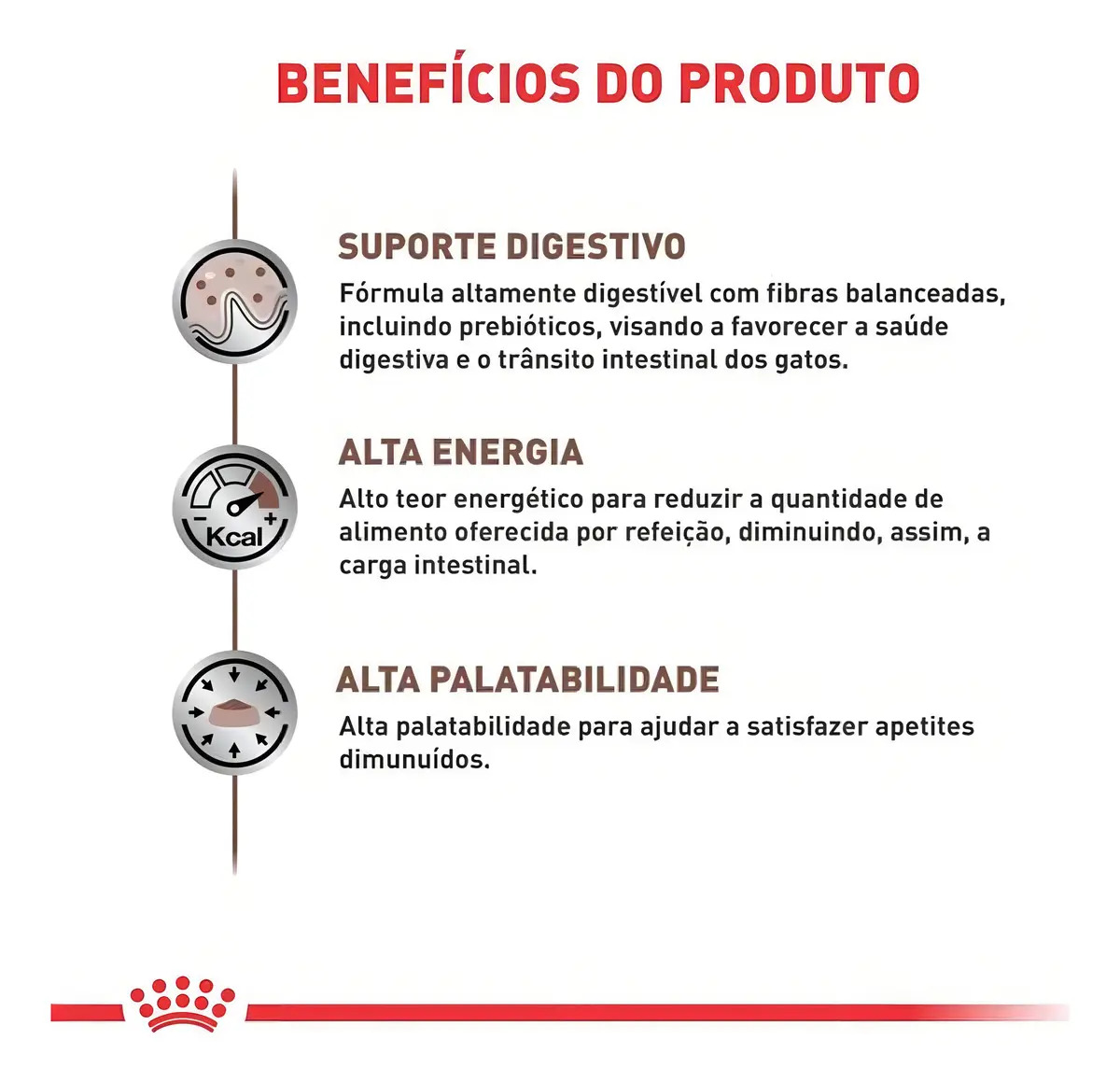 Ração Royal Canin Feline Gastrointestinal Gato Adulto 400g