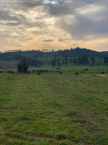 Parcelas A 8 Minutos Del Lago Vichuquén, Financiamiento