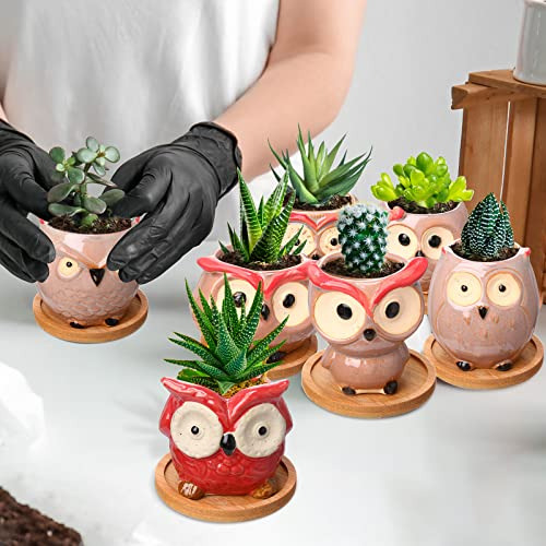 18 Mini Maceteros De Búho Para Suculentas Y Cactus Esmaltado