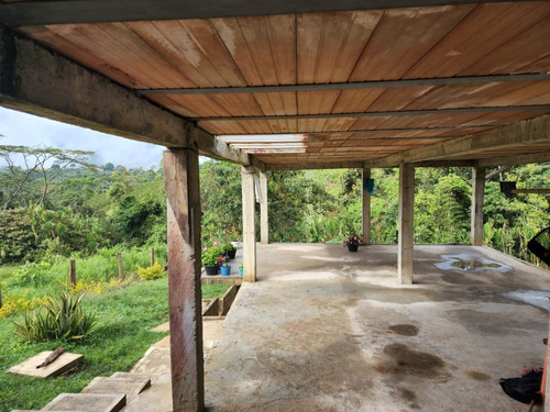 Imagen 12 de 20 de Venta De Finca Cafetera En Jericó Antioquia