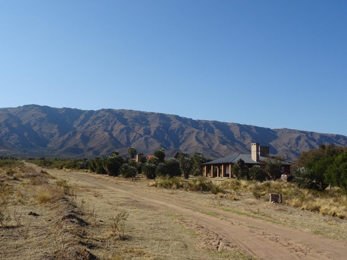 Imagen 14 de 30 de Espectacular Campo Con Loteo, House Restaurante Y Viñedos
