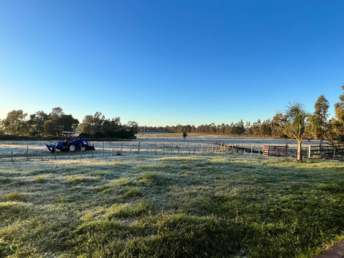 Chacra De 8 Hectareas En San Jacinto