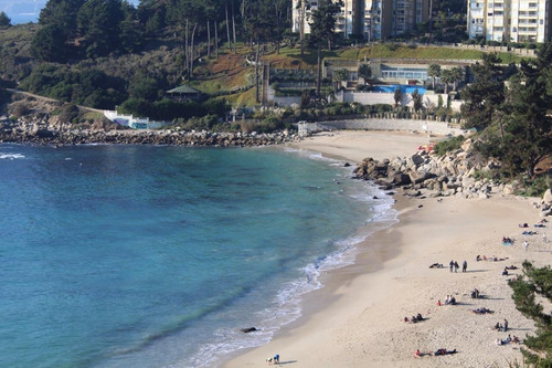 Cabañas Bosques Del Canelo . A Solo 100 Metros De Playa .
