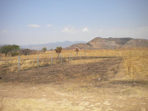 Imagen 8 de 9 de Terrenos De 320m2. En Atlatlahucan, Morelos.