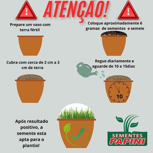 Sementes Premium Campo Grande Brs- Piatã - Incrustada