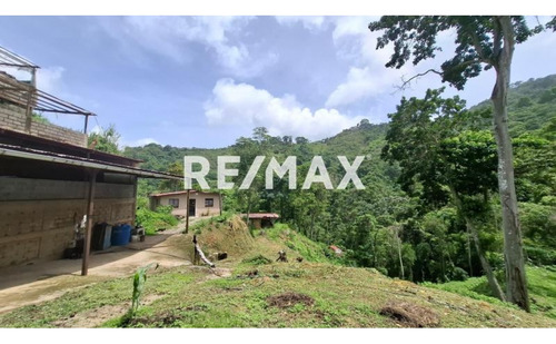 En Venta Finca Productiva, Con Casa, Galpones Y Cultivo De Café