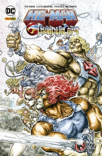 Thundercats/Mestres do Universo, de David, Rob. Editora Panini Brasil LTDA, capa dura em português, 2022