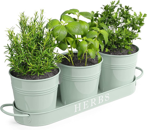 Barnyard Designs Farmhouse Herb Garden Indoor Planter Set