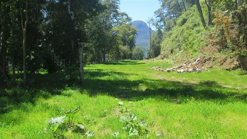 Imagen 30 de 30 de Agrícola En Venta En Puerto Montt