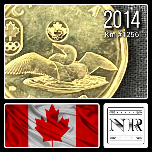 Canada - 1 Dolar - Año 2014 - Km #1256 - Loonie - Olimpica