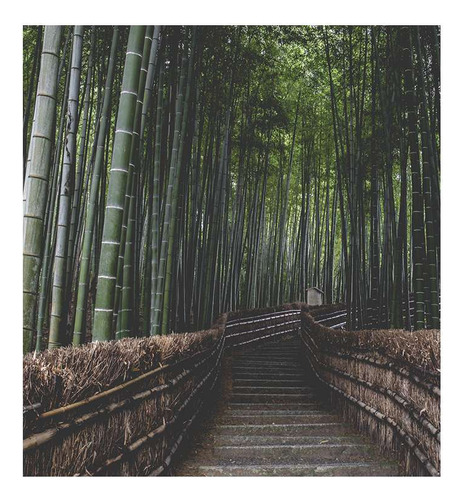 Vinilo 100x100cm Bosque Bambu Japón Entrada Camino