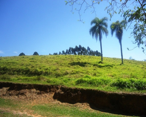 Imagem 4 de 12 de Sitio À Venda Em Juquitiba; Sitio Em Juquitiba; Sítio Com Boa Topografia; - 98 - 32982565