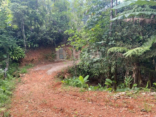Imagem 11 de 17 de Terreno À Venda No Bairro Moura - Canelinha/sc - 2171t