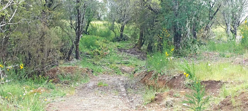 Parcela De 5.000 Mts2 En Chepu Comuna De Ancud