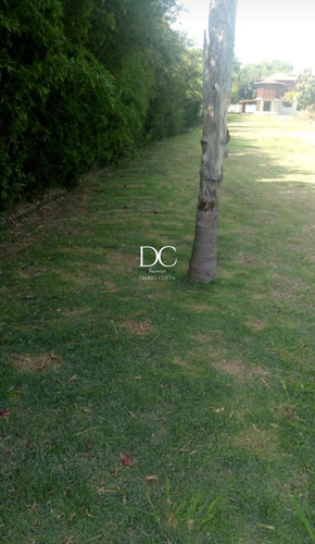 Imagem 3 de 11 de Sitio - St00011 - 69673053