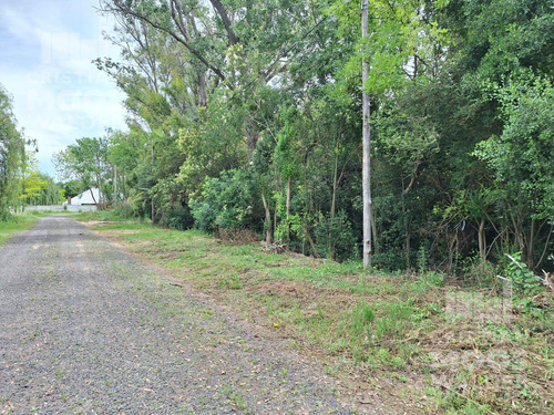 Terreno En Garin