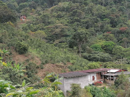 Venta Finca Cordoba Quindio Cod: 3568783
