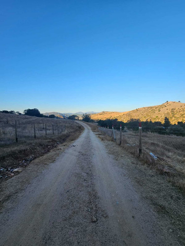 Parcela 5000 M2 A 20 Min. De Santa Cruz (64696)