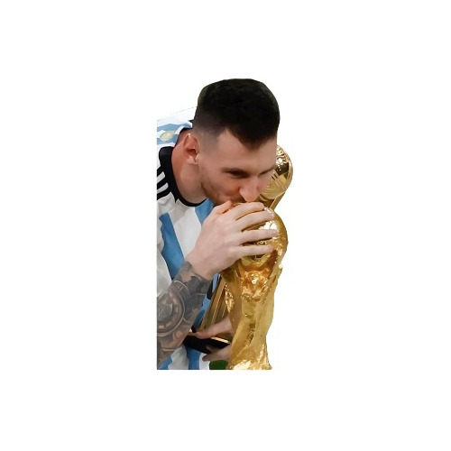 Banner Gigantografía Lona Cumpleaños Messi Argentina Campeon