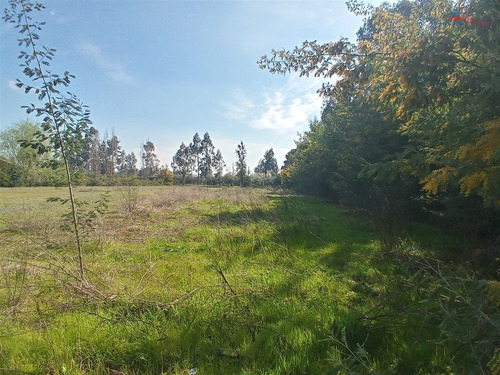 Se Vende Parcela Sector Chacarillas De 5.000 Mt2 En Maule