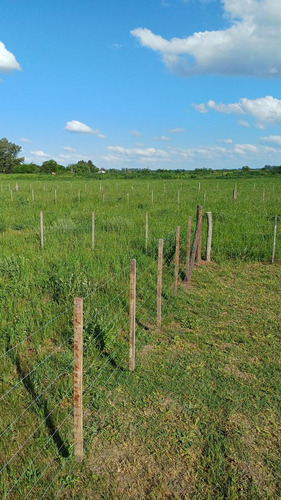 Loteo Rural!! Terrenos Sin Expensas! En Venta Desde 360m2 A 900m2 Ubicados En Villa Espil.