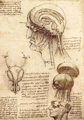 Lienzo Tela Canvas Corte Cabeza Leonardo Da Vinci 1506 72x50