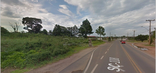 Imagem 15 de 15 de Terreno Comercial - Sangao - Ref: 30533 - V-30531