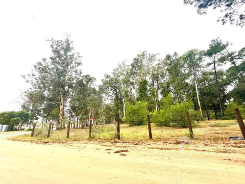 Imagen 3 de 10 de Venta Lote Apto Ph - Zona Comercial - Punta Del Este - Ref:4481520