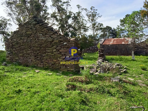 79 Hectáreas En Lavalleja, Ideal Fraccionamiento