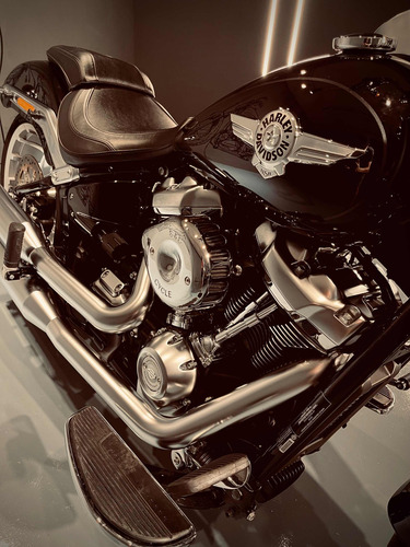 Imagen 11 de 20 de Harley Davidson Fat Boy 114 Df_motorcycles