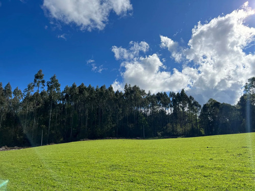 Parcelas Villarrica Luz Agua
