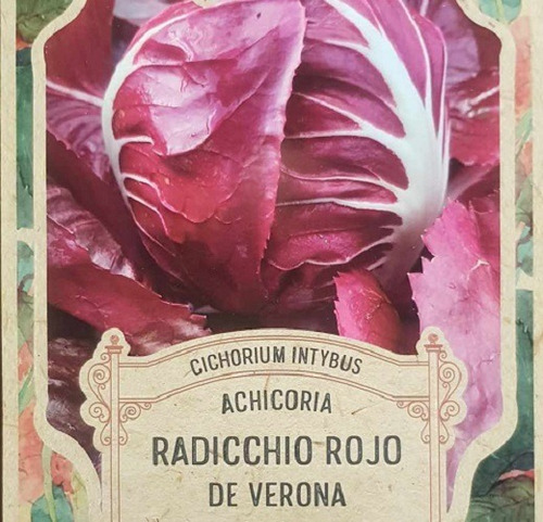 Pack Semillas Radicchio Rojo De Verona X 80 Semillas