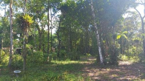 Imagem 2 de 12 de Ampla Chácara Lado Serra, Itanhaém- Chácaras Glória. 9192