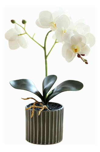 Planta De Orquídeas Artificiales De Altura Realista