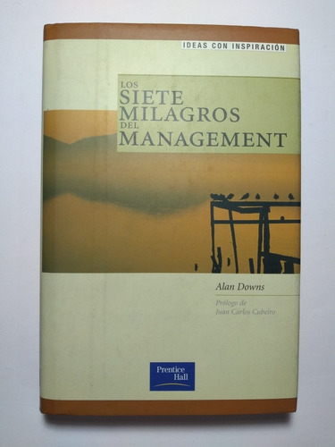 Los Siete Milagros Del Management , Alan Downs