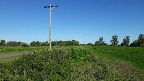 Imagen 13 de 16 de Antelo, Campo De 29 Has Sobre Asfalto, Sistematizado, Con Arroyo